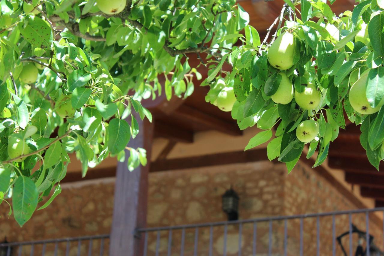 Complejo Rural La Coronilla Guest House Jarandilla de la Vera Bagian luar foto